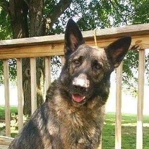 Meet your Posher, Patrick